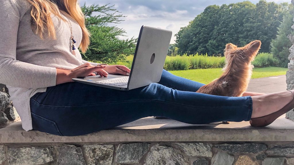 Online in New York Amidst COVID19