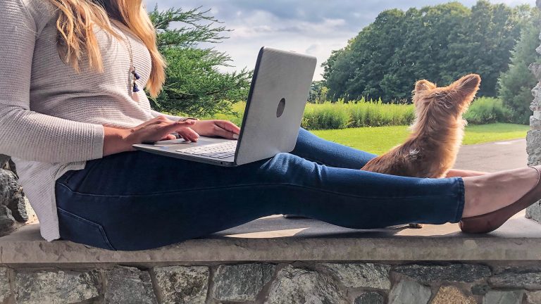Online in New York Amidst COVID19