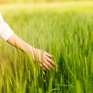 Girl walking in grassy filed in Syracuse, NY