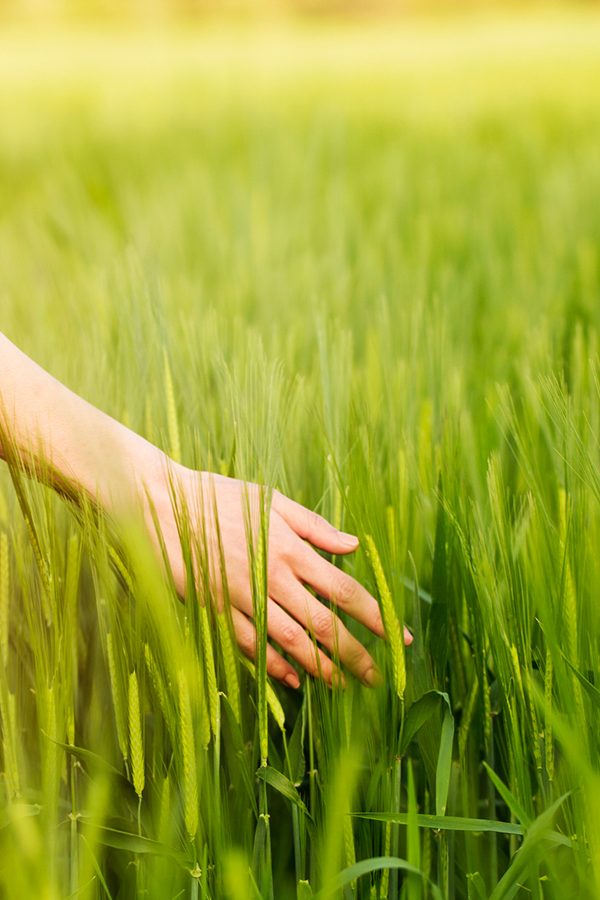 Girl walking in grassy filed in Syracuse, NY