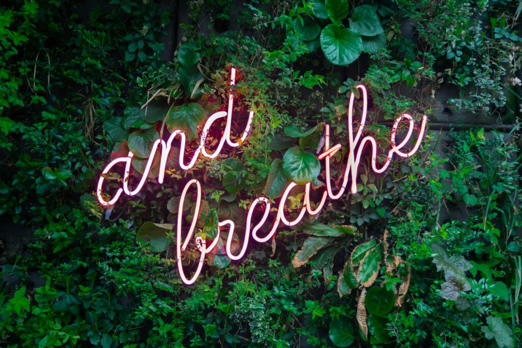 Breaking the Cycle: A Mental Health Professional’s Guide to Managing Panic Attacks