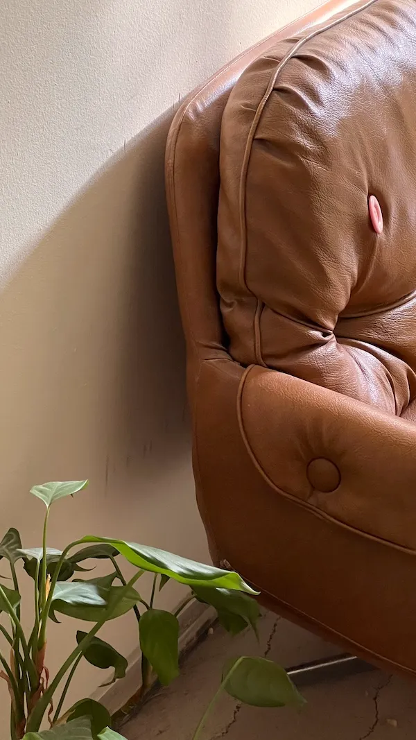 leather arm chair and plant